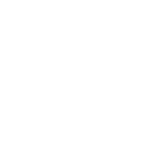Sitio web 2